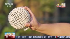 千年窑火孕育出璀璨的陶瓷文